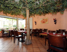 Ristorante & Pizzeria Vulcano
