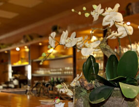 Ristorante & Pizzeria Adriano Vulcano